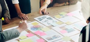 Project Coordinator